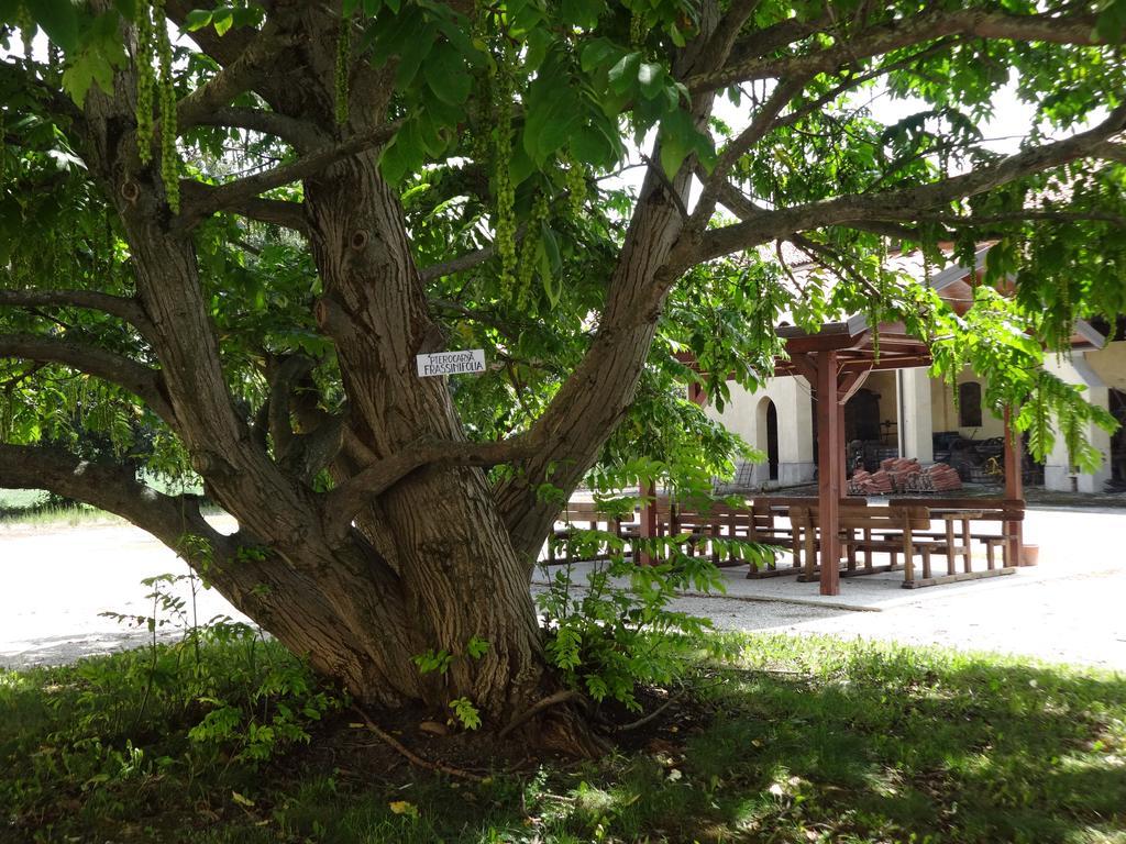Agriturismo Rivieraoglio Piadena Exterior photo